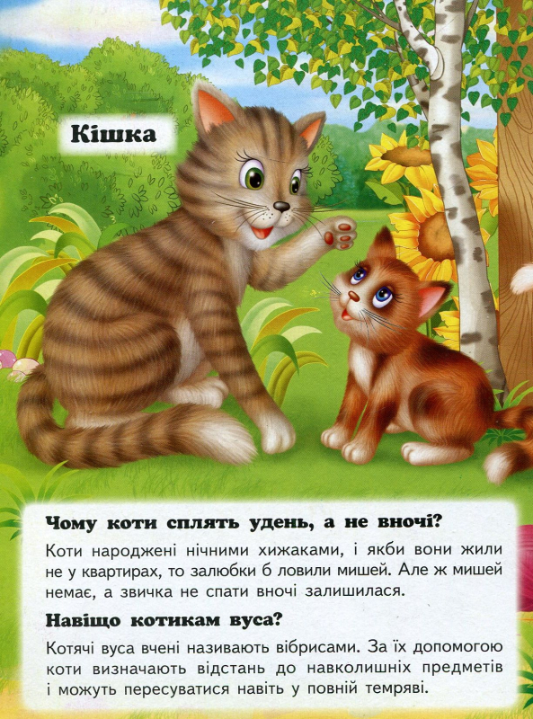 Книга Хто це? На подвір'ї