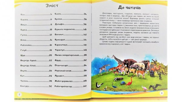 Мами та малюки (Ведмідь) Енциклопедія у запитаннях та відповідях