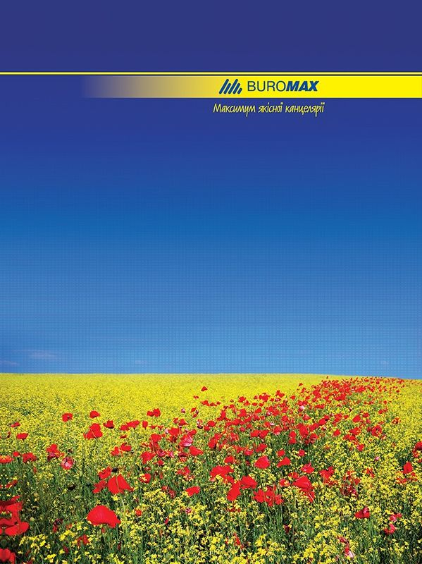 Книга обліку Buromax А4 96 аркушів клітинка асорті (BM.2400)