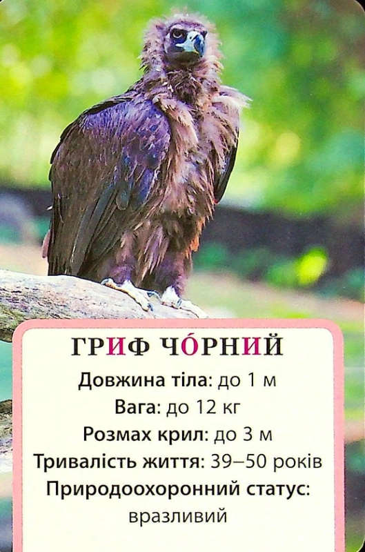 Книга Досліджуємо повітря та його властивості. Набір дидактичних матеріалів. 3-4 класи