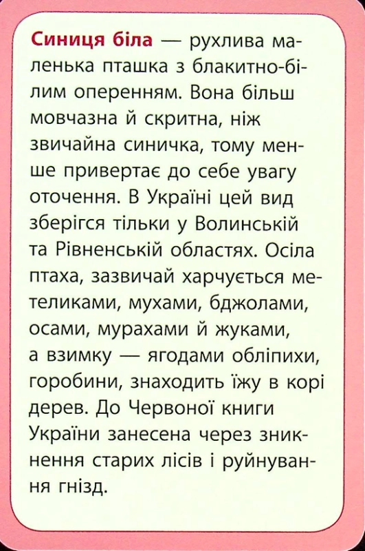 Книга Досліджуємо повітря та його властивості. Набір дидактичних матеріалів. 3-4 класи