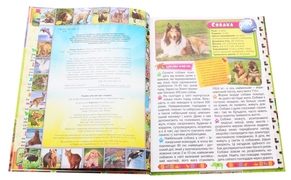 Книга Енциклопедія про тварин. Дивовижні факти (Зелена)