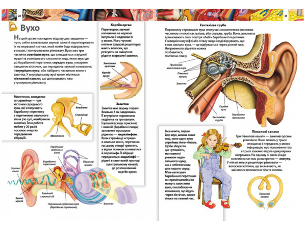 ДИТЯЧА ЕНЦИКЛОПЕДІЯ ТІЛО ЛЮДИНИ. ПЕГАС 9789664663240