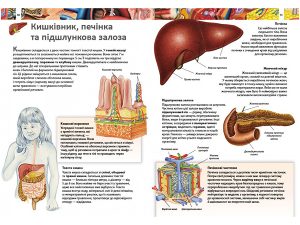 ДИТЯЧА ЕНЦИКЛОПЕДІЯ ТІЛО ЛЮДИНИ. ПЕГАС 9789664663240