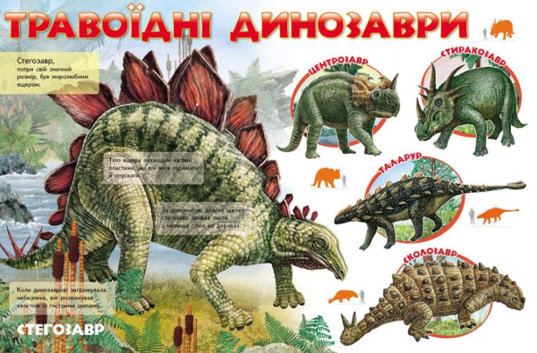 Книга Моя перша книга. Про динозаврів