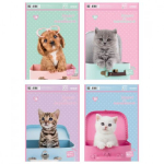 Альбом для малювання А4, 30 аркушів, 100 г/м2 Studio Pets SP22-243 Kite