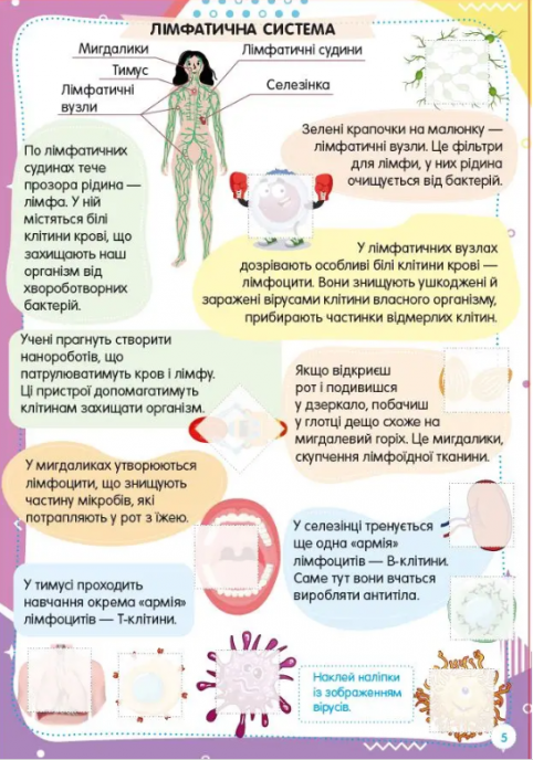 Веселі забавки для дошкільнят тіло людини - фото 3