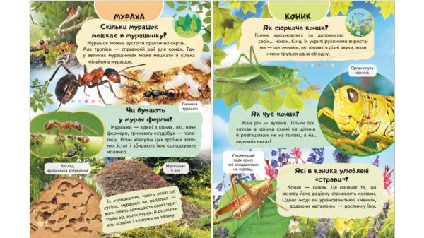 Енциклопедія Комахи та інші. Життя маленьких істот - фото 2