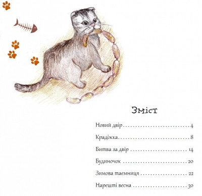 Котойосія, або пригоди котика Йосі — Ірина Горденко, - фото 3