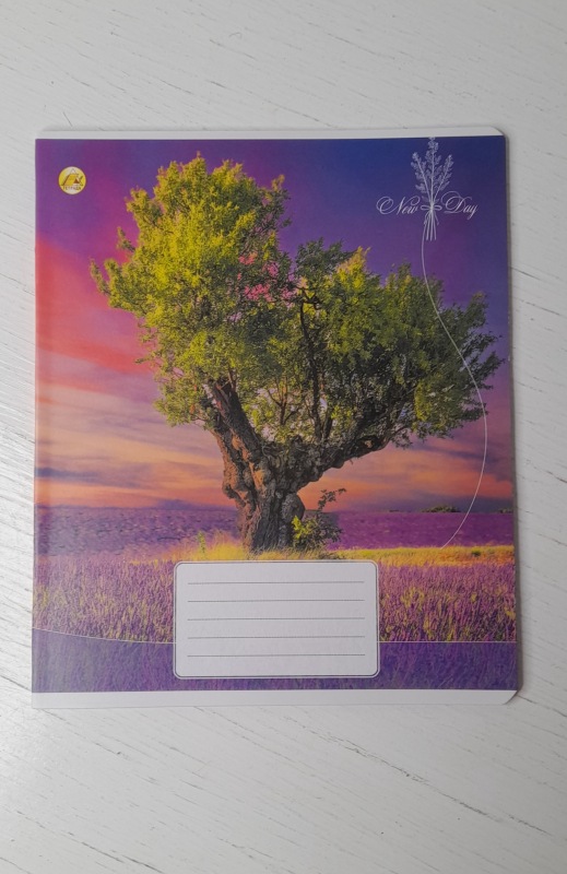 Зошит шкільний 24 аркуша, лінія - фото 2