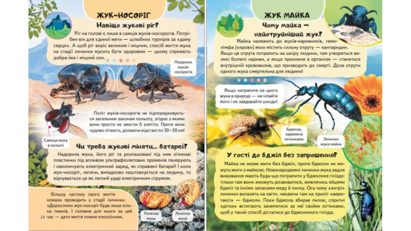 Енциклопедія Комахи та інші. Життя маленьких істот - фото 3