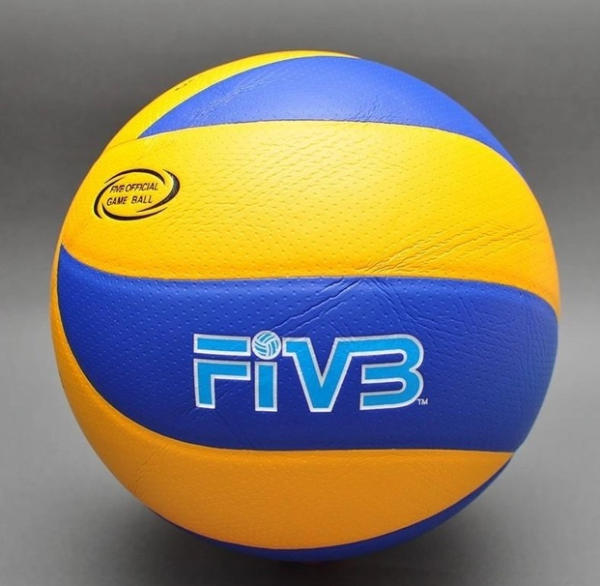 Волейбольний м'яч Mikasa FIVB MVA200 №5