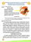 Зошит з розвитку усного та писемного мовленння 4 клас  - фото 3