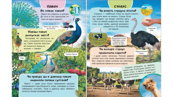 Енциклопедія Птахи. Співці, авіатори, майстри, мисливці - фото 2