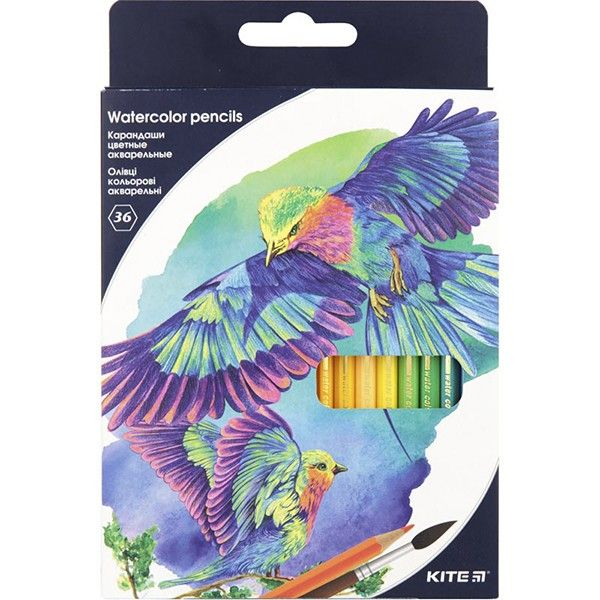Олівці кольорові акварельні Kite Птахи 36 кольорів 