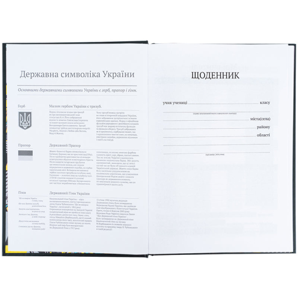 Щоденник шкільний Kite Transformers TF25-262 - фото 3