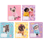 Зошит шкільний Kite Studio Pets SP25-232, 12 аркушів, клітинка