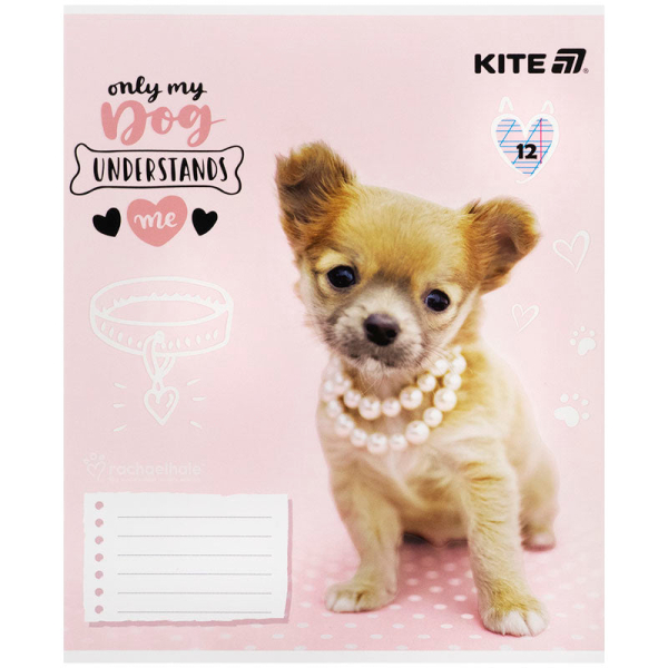 Зошит шкільний Kite Rachael Hale R25-235, 12 аркушів, коса лінія - фото 5