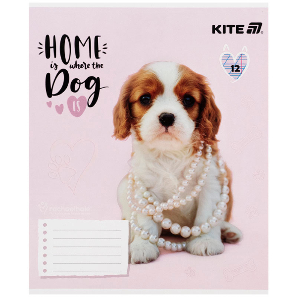 Зошит шкільний Kite Rachael Hale R25-235, 12 аркушів, коса лінія - фото 2