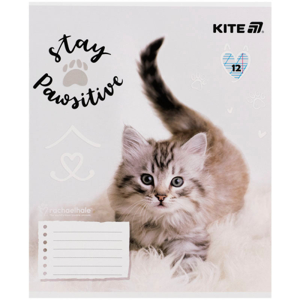 Зошит шкільний Kite Rachael Hale R25-235, 12 аркушів, коса лінія - фото 6