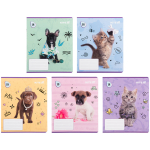 Зошит шкільний Kite Rachael Hale R25-236, 18 аркушів, клітинка