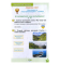 Книга Я досліджую світ. Робочий зошит. 1 клас. Частина 2 - фото 6