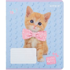 Зошит шкільний Kite Studio Pets SP22-236, 18 аркушів, клітинка