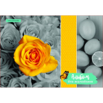 "DREAMS" АЛЬБОМ НА ПРУЖИНІ 160 Г/М2, ГЛІТЕР, 50 АРКУШІВ