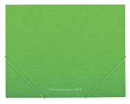 Папка пластикова на гумках Buromax Barocco, А5, салатовий (BM.3902-15)