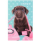 Блокнот-планшет Kite Studio Pets SP23-195, A6, 50 аркушів, нелінований - фото 1