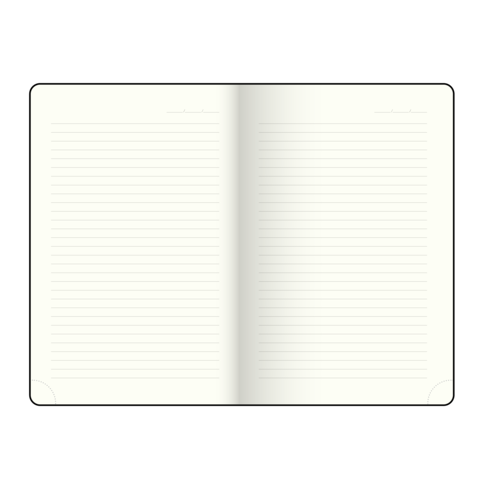  Щоденник недат. CHESTER, A5, чорний, штуч.шкіра/поролон, 336 стор - фото 2