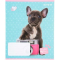 Зошит шкільний Kite Studio Pets SP22-235, 12 аркушів, коса лінія - фото 10