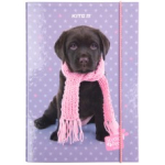  Папка для зошитів на гумці Kite Studio Pets SP23-210, картон