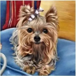 Алмазна мозаїка Мілашка на підрамнику 30х40 (94389-9)