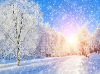 Алмазна мозаїка Зимова казка 30*40 см з рамкою 41 *31*25 см (H8057)