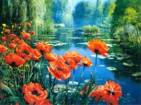 Алмазна мозаїка Маки у озера 30*40 см з рамкою 41 *31*25 см (H8320)