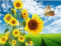 Алмазна мозаїка Символ захисту на підрамнику 30х40 (11048-2)