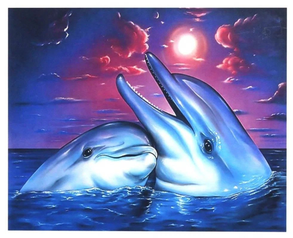 Картина за Номерами Два дельфіна 40х50 KTL2019