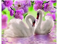 Картина за номерами 40х50 см у коробці Y5471 Лебеді