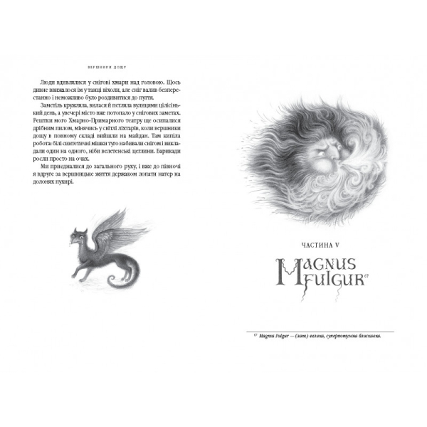 Книга Вершники дощу - фото 5