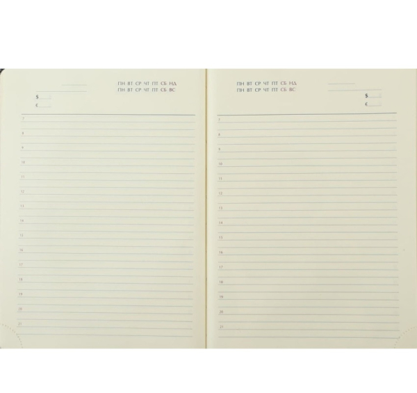 Щоденник датований 2026 Buromax SALERNO коричневий - фото 2