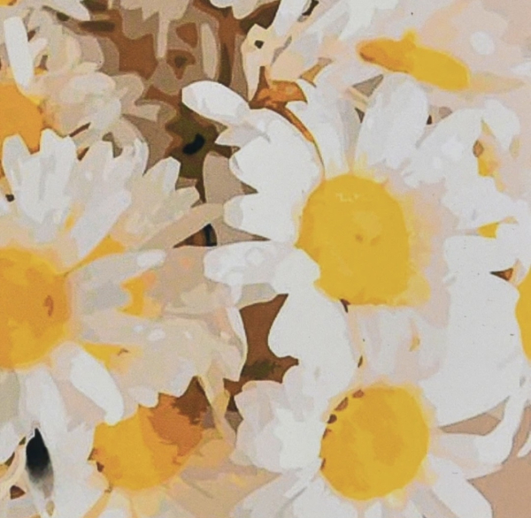 Алмазна мозаїка "Букет ромашок" 30х30 см - фото 1