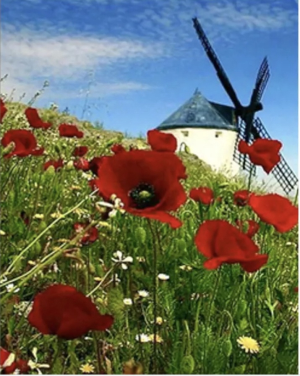 Алмазна мозаїка "Млин" 30х40 см - фото 1