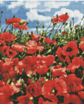 Алмазна мозаїка "Дивовижні маки" 40х50 см
