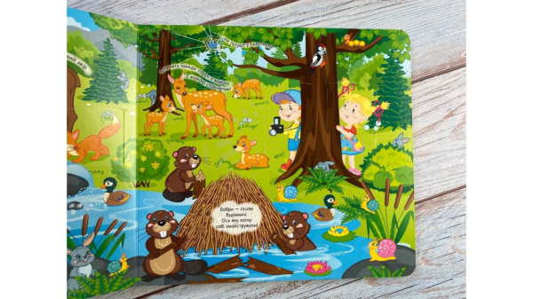 Книжка з віконцями. У лісі. 57 віконець - фото 2