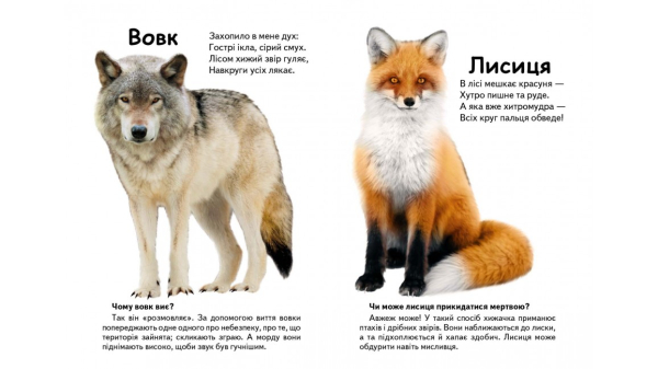 Хто це? Лісові тварини. Запитання та відповіді - фото 2
