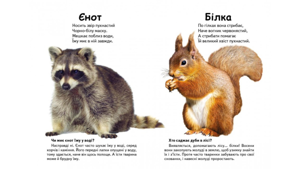 Хто це? Лісові тварини. Запитання та відповіді - фото 3