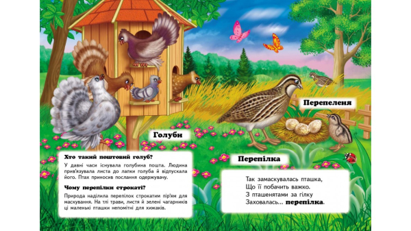 Хто це? На подвір'ї. Запитання та відповіді - фото 3