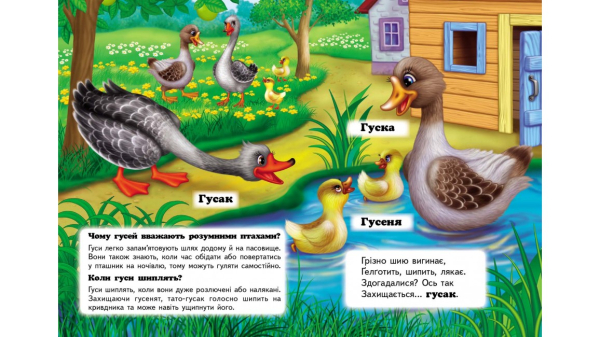 Хто це? На подвір'ї. Запитання та відповіді - фото 2